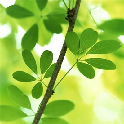 天天打灭霸手游bt版下载