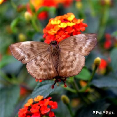 斗战封神手游官方下载