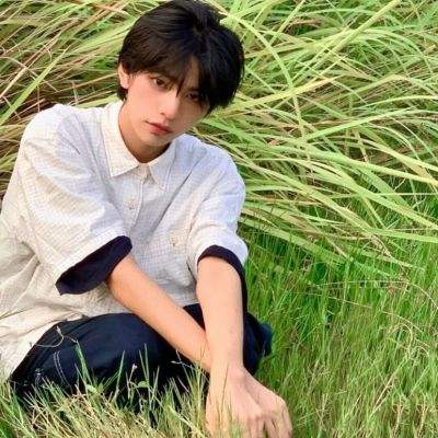 百战成仙谷果版下载