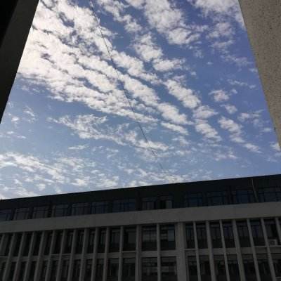 永恒秘境九游版下载